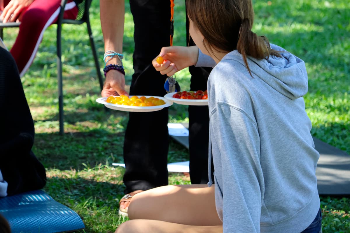 Immagine tratta dall'evento